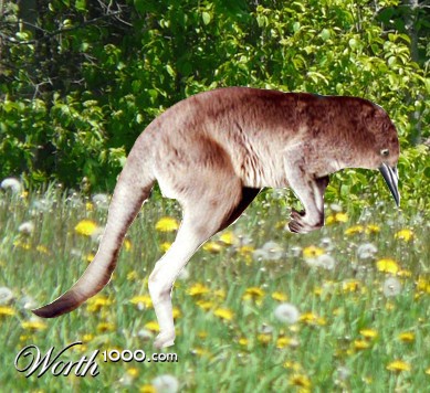 Photoshop Design by GemGemxx