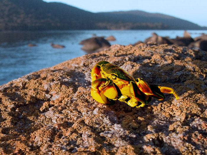 Photoshop Design by StephenP for DesignCrowd (Community Contests) | Design #8967806