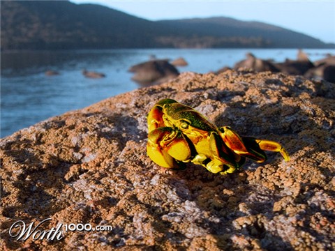 Photoshop Design by StephenP