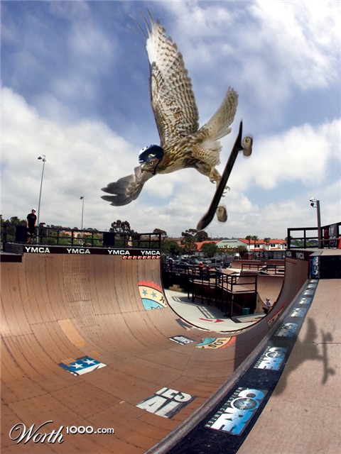 Photoshop Design by komptonking