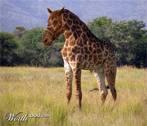Photoshop Design by hwalker
