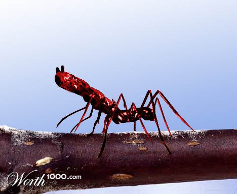 Photoshop Design by Zickar