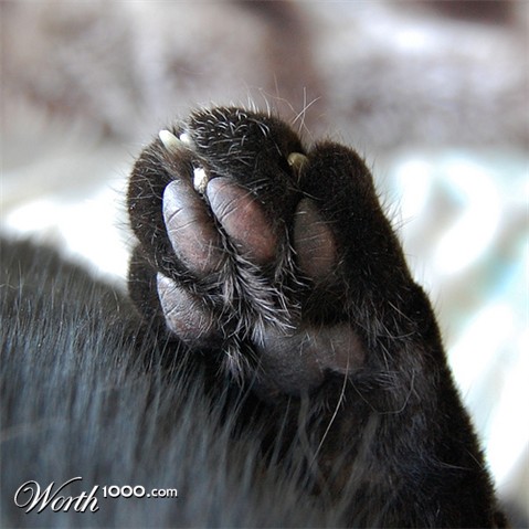 Photography by blackpuddinonnabike