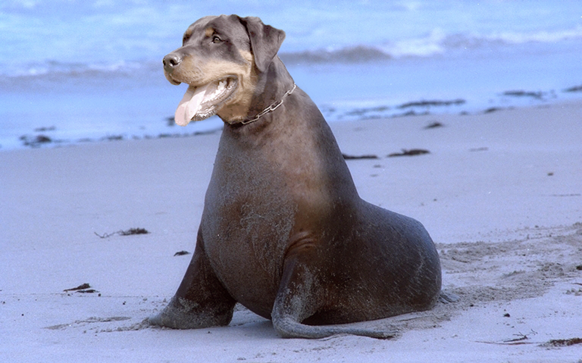 Photoshop Design by radditz for DesignCrowd (Community Contests) | Design #8970108