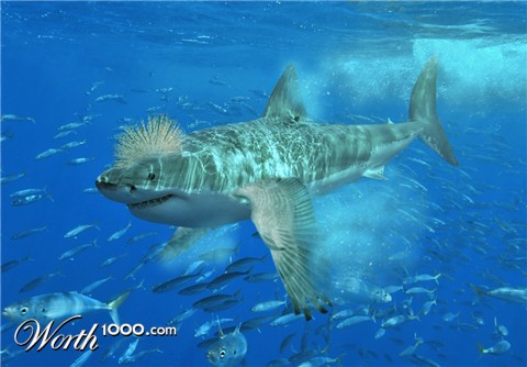 Photoshop Design by JacoSchoeman