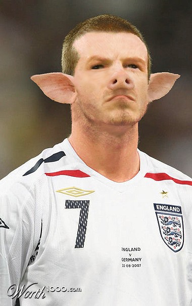 Photoshop Design by kate7819