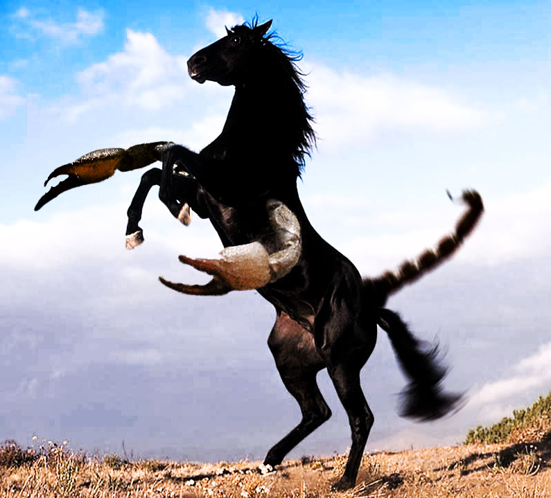 Photoshop-Design von Scorpion200 für DesignCrowd (Community Contests) | Design #8970168