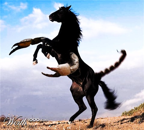 Photoshop Design by Scorpion200
