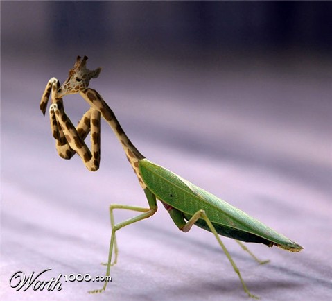 Photoshop Design by alesiphoto