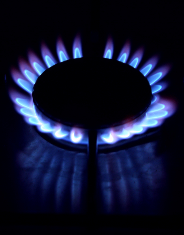 Photography by Para for DesignCrowd (Community Contests) | Design #8966531