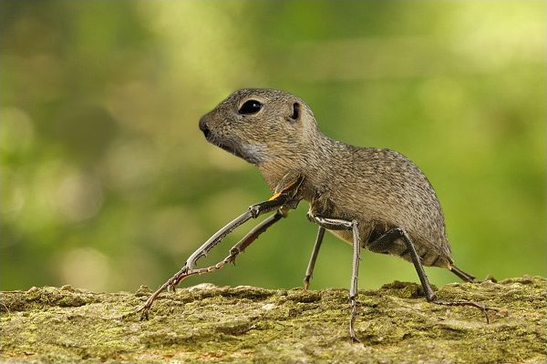 Design Photoshop par DeeWhite pour DesignCrowd (Community Contests) | Design #8970199