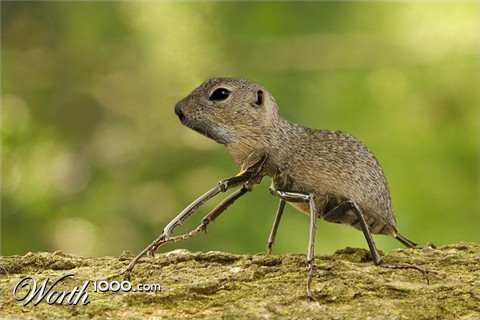 Photoshop Design by DeeWhite