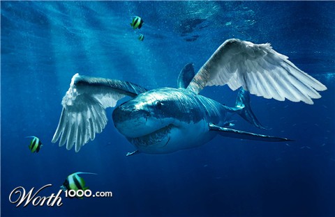 Photoshop Design by wolfndr