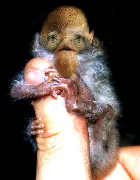 Design Photoshop par pierrX pour DesignCrowd (Community Contests) | Design #8970205