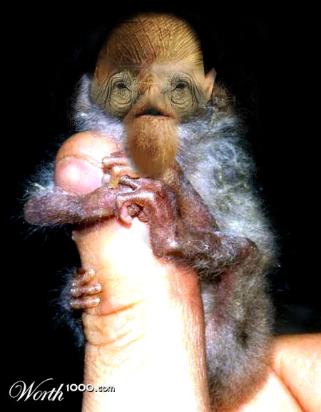 Photoshop Design by pierrX