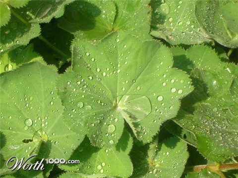 Photography by keri0105