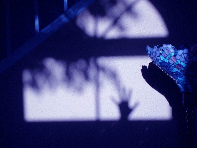 Fotografie von natureanddogs für DesignCrowd (Community Contests) | Design #8965855