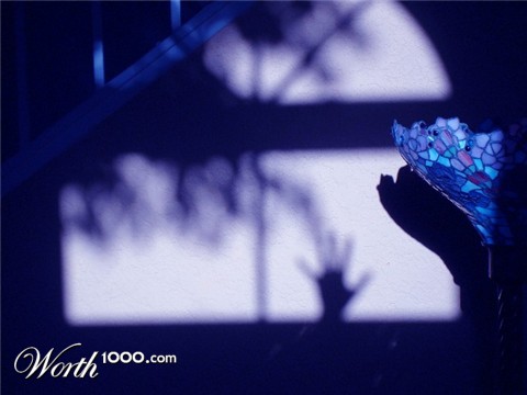 Photography by natureanddogs