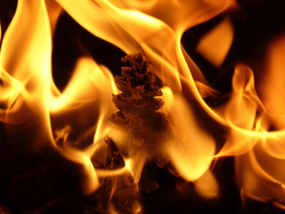 Photography by j9mayer for DesignCrowd (Community Contests) | Design #8966568