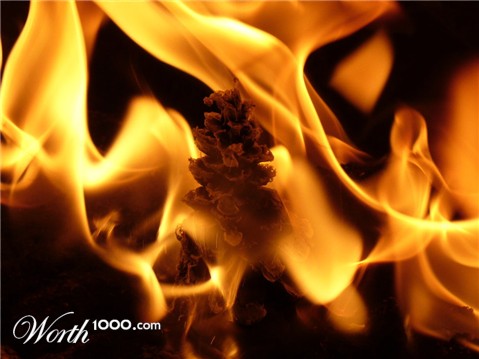 Photography by j9mayer