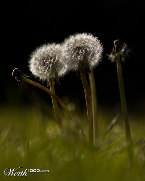 Photography by DramaThrills