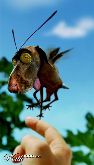 Photoshop Design by Bejoso