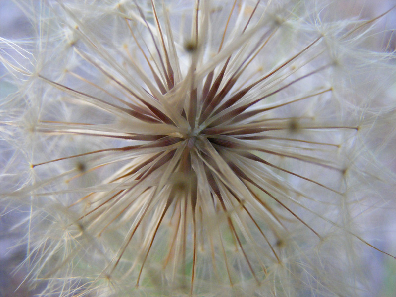 Photographie par Safekeeper pour DesignCrowd (Community Contests) | Design #8970262