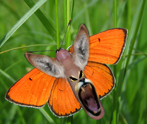 Design Photoshop par GutsAndGlory pour DesignCrowd (Community Contests) | Design #8970201