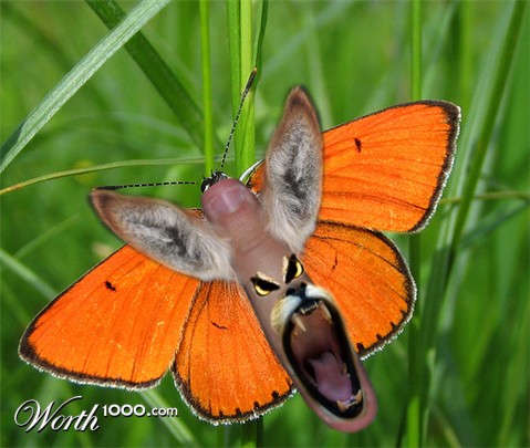 Photoshop Design by GutsAndGlory