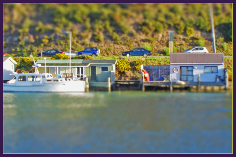 Photography by essjaynz for DesignCrowd (Community Contests) | Design #8965907