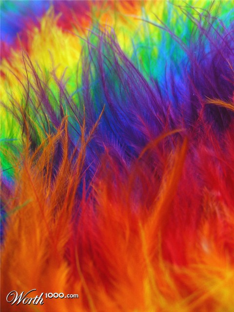 Photography by fujiellena