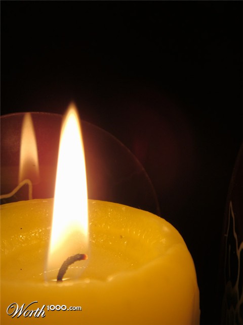 Photography by memool