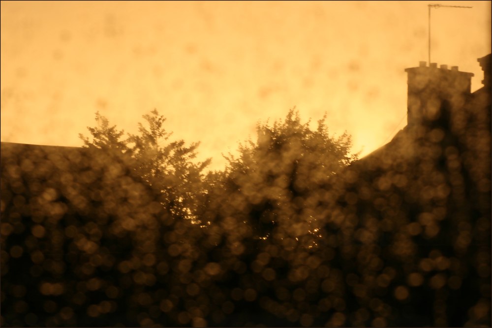 Photography by flangalistic for DesignCrowd (Community Contests) | Design #8966003