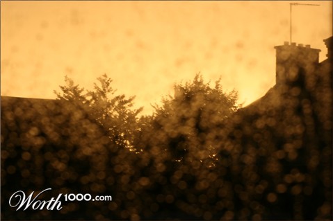 Photography by flangalistic