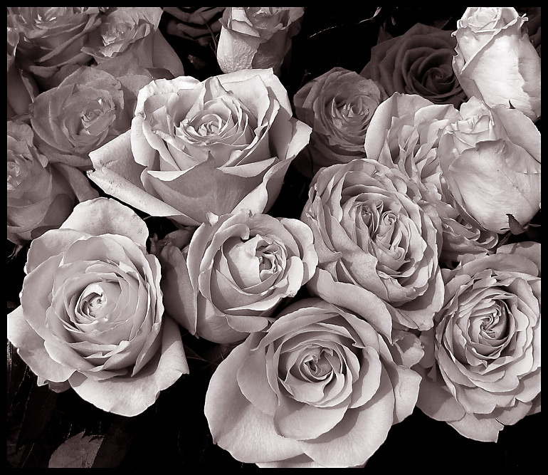 Fotografie von SixerHoo für DesignCrowd (Community Contests) | Design #8970273