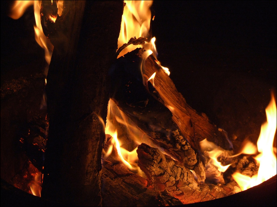 Photographie par frogfreak99 pour DesignCrowd (Community Contests) | Design #8966549