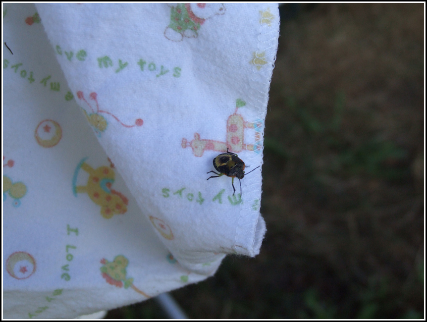 Photography by frogfreak99 for DesignCrowd (Community Contests) | Design #8964223