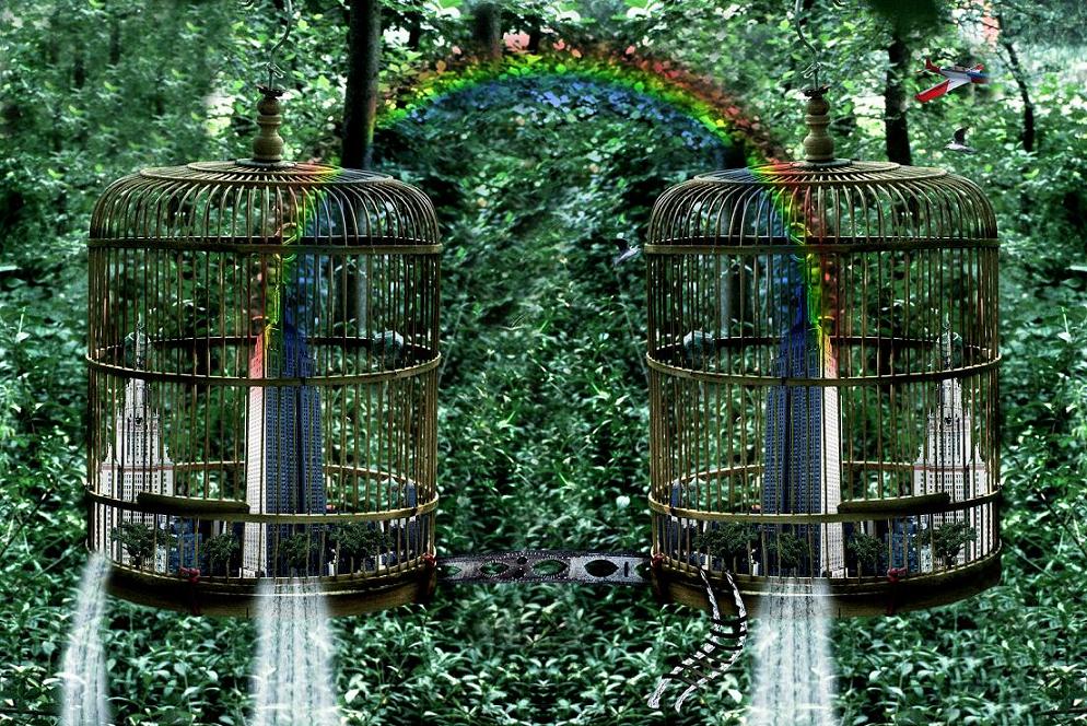 Photoshop Design by gutodpb for DesignCrowd (Community Contests) | Design #8965899