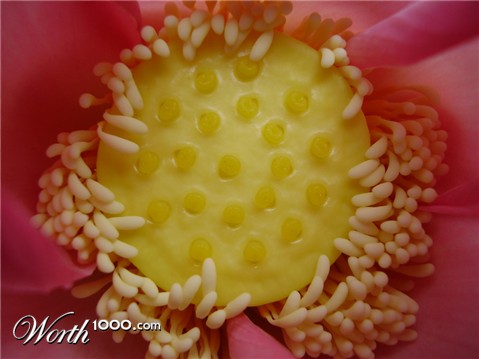 Photography by amitanand