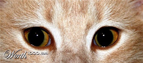 Photography by simonfish