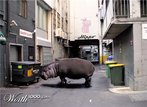 Photoshop Design by Monaco