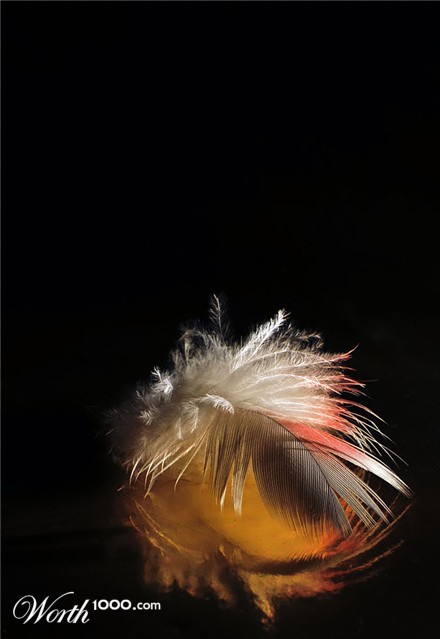 Photography by Isabella2006