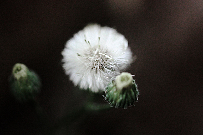 Photography by Acrawf for DesignCrowd (Community Contests) | Design #8970344