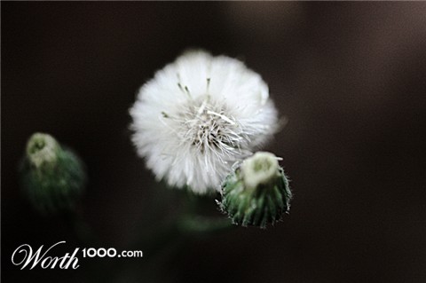 Photography by Acrawf