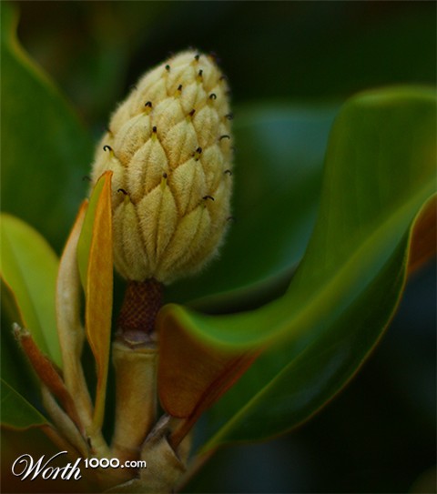 Photography by lords8n