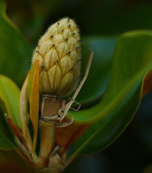 Photoshop Design by lords8n for DesignCrowd (Community Contests) | Design #8975710