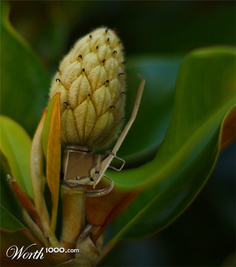 Photoshop Design by lords8n