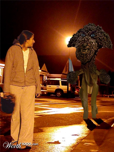 Photoshop Design by dhallfxs