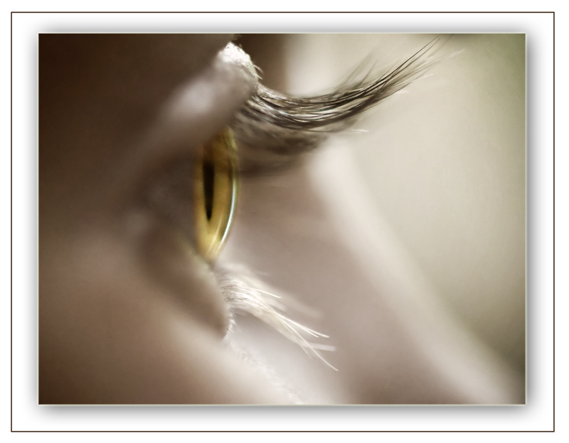 Fotografie von Marian für DesignCrowd (Community Contests) | Design #8970371