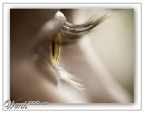 Photography by Marian